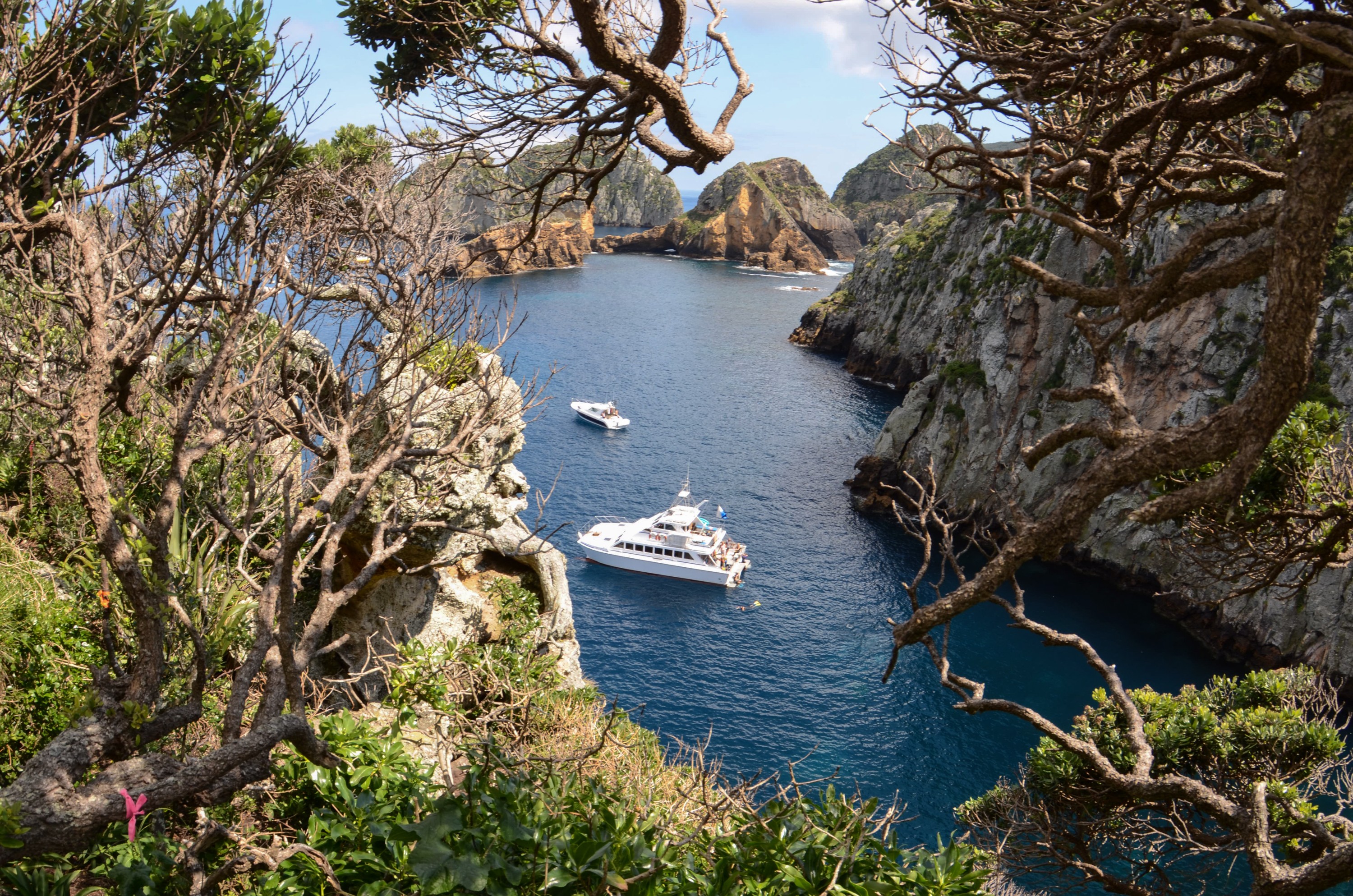 DSC_9884 – Crispin, doc, hideaway, knights, marine, new, nz, pacific, poor, reserve, zealand